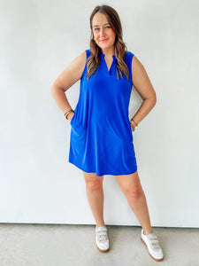 Wrinkle Free Sleeveless Shift Dress